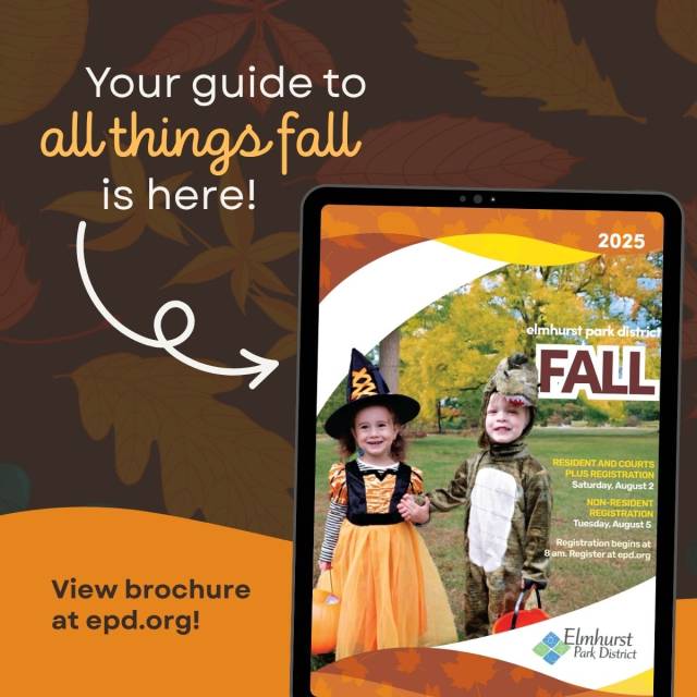 Fall Brochure