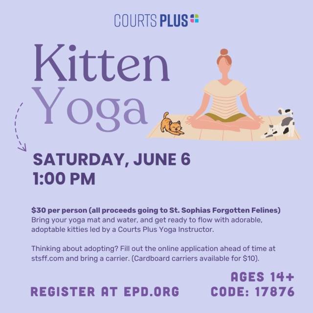 Kitten Yoga on June 6