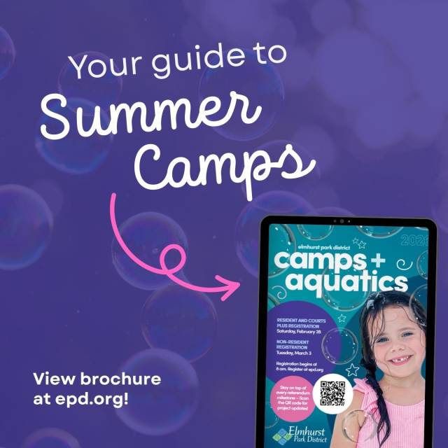 Summer Camps + Aquatics Guide now available
